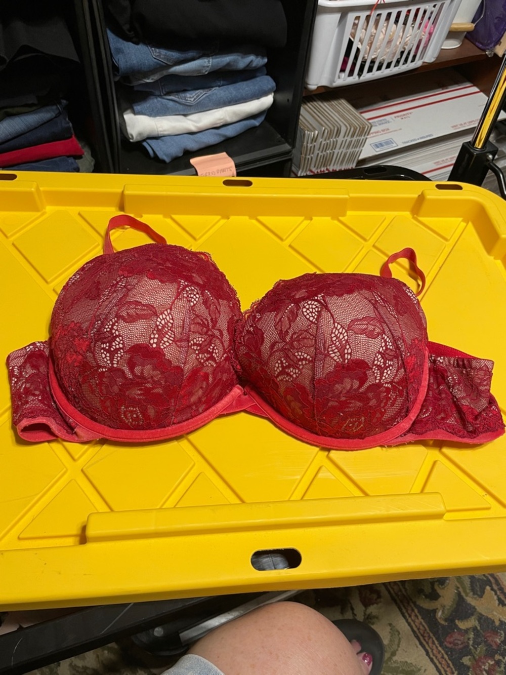 48c torrid Lace Push-Up Bra in Deep Red - Women's Intimates